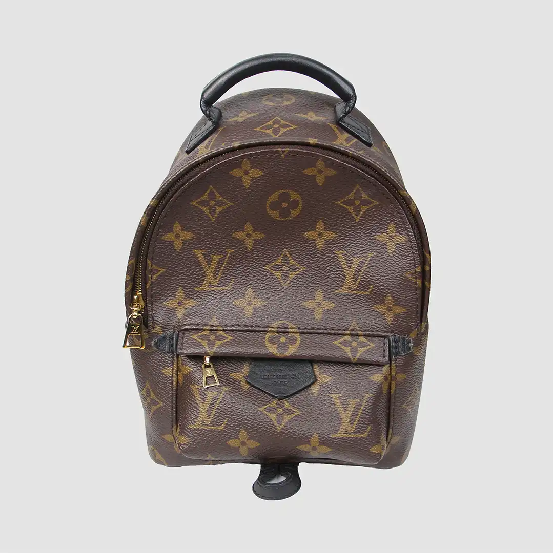 Louis Vuitton Monogram Canvas Mini Palm Springs Backpack