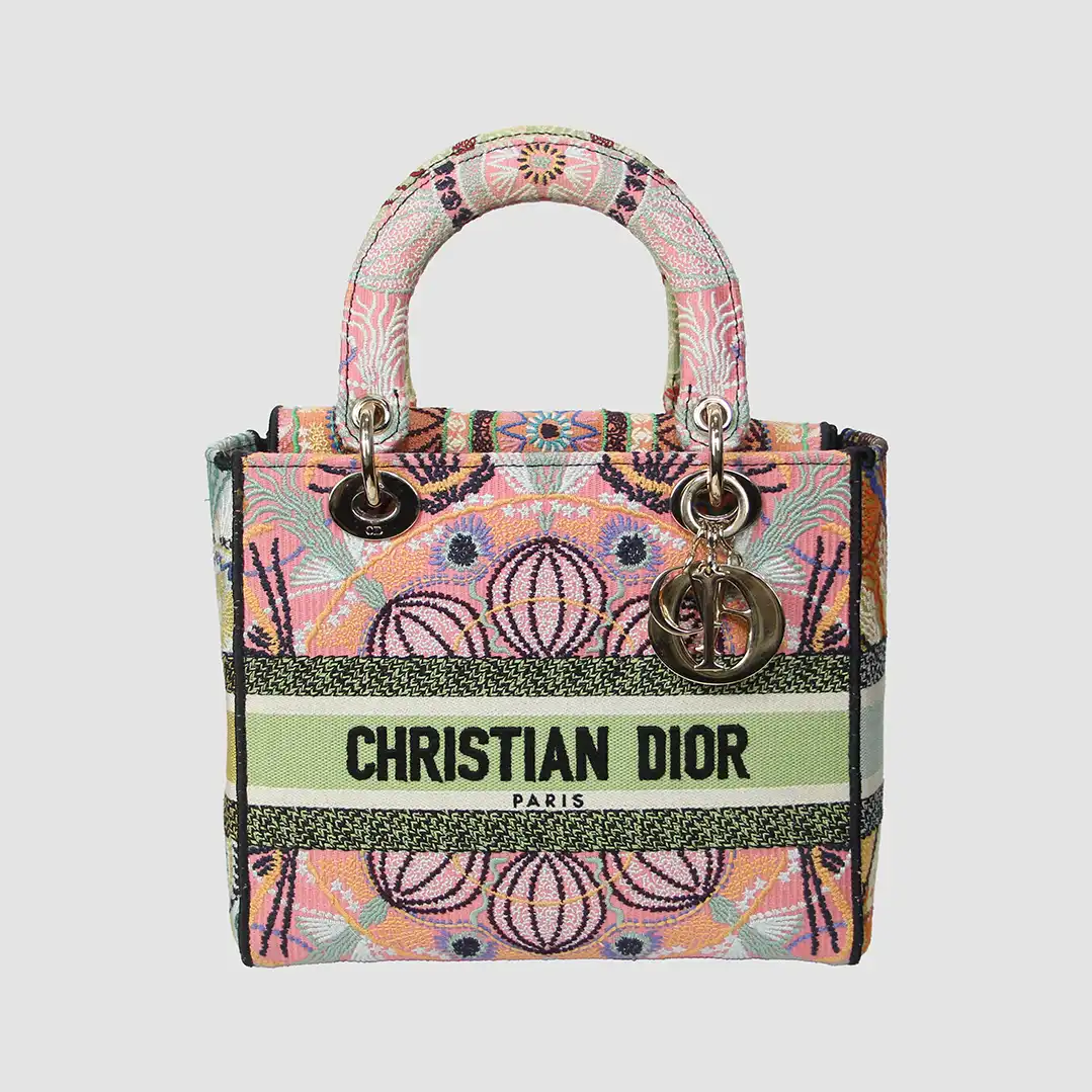 Christian Dior Medium Canvas Embroidered in lights Lady D-lite