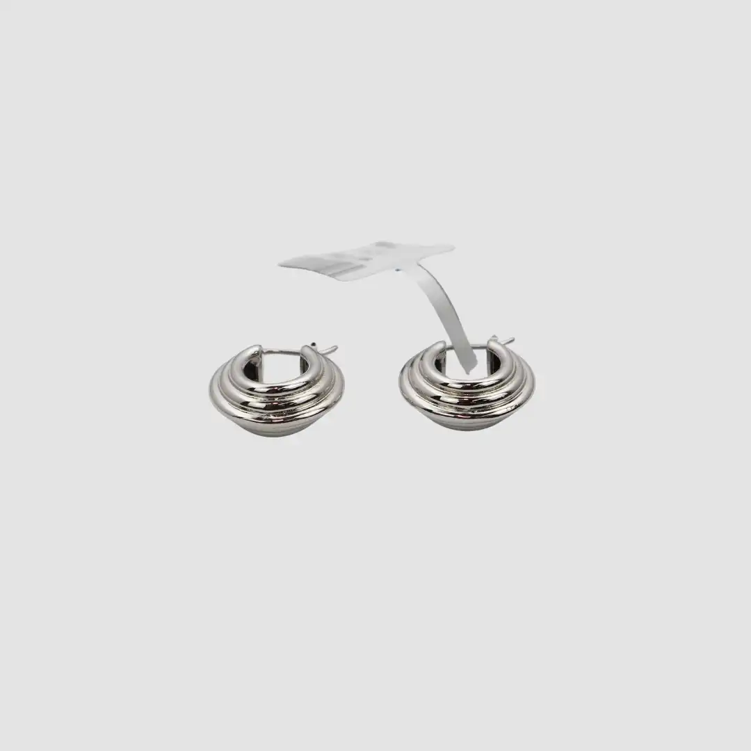 Lisa Smith Silver Earrings Elegant Design